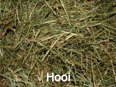 hooi.jpg